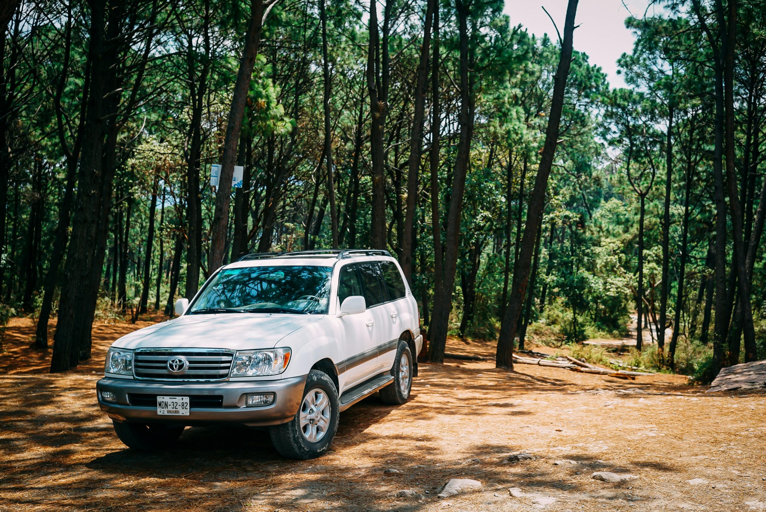 White SUV parked among tall trees in a tranquil forest, showcasing outdoor adventure potential.