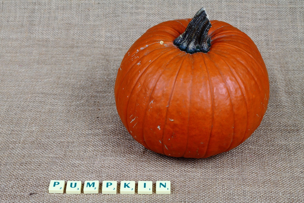 subtitles, writing, scrabble, word, letters, words, language learning, learning english, vegetables, a vegetable, food, natural, nature, bio, healthy, pumpkin, orange, scrabble, scrabble, scrabble, scrabble, scrabble, learning english, learning english, learning english