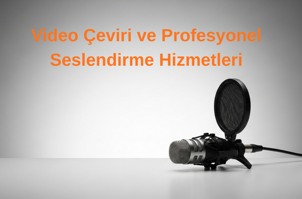 çeviri ve seslendirme